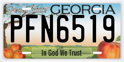 GA license plate PFN6519