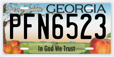 GA license plate PFN6523