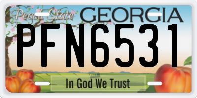 GA license plate PFN6531