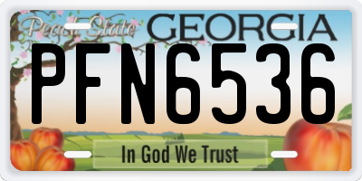 GA license plate PFN6536