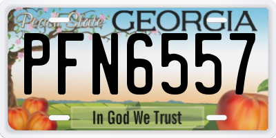 GA license plate PFN6557
