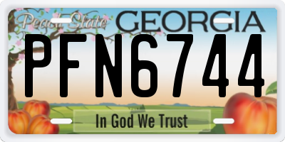 GA license plate PFN6744