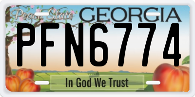 GA license plate PFN6774