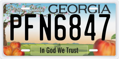 GA license plate PFN6847