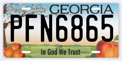 GA license plate PFN6865