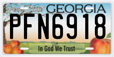 GA license plate PFN6918