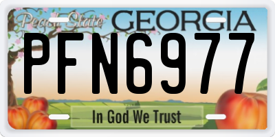 GA license plate PFN6977