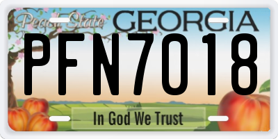 GA license plate PFN7018