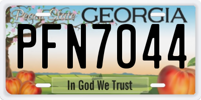 GA license plate PFN7044