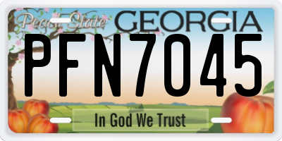 GA license plate PFN7045