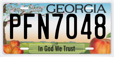 GA license plate PFN7048