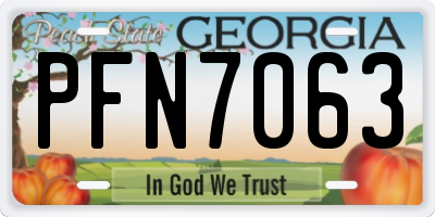 GA license plate PFN7063