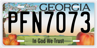 GA license plate PFN7073