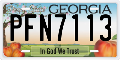 GA license plate PFN7113