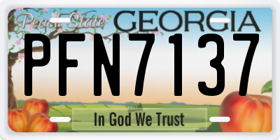 GA license plate PFN7137