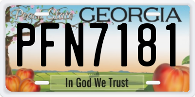 GA license plate PFN7181