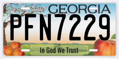 GA license plate PFN7229