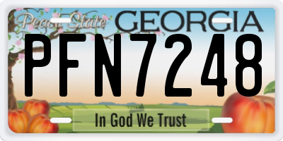 GA license plate PFN7248