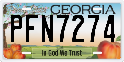 GA license plate PFN7274