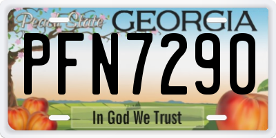 GA license plate PFN7290