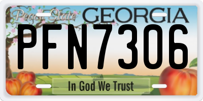 GA license plate PFN7306