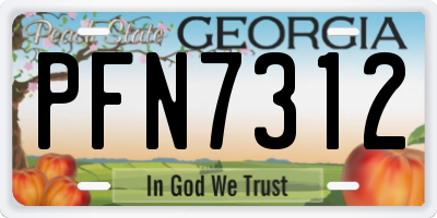 GA license plate PFN7312