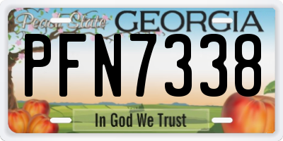 GA license plate PFN7338