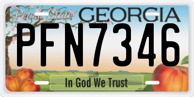 GA license plate PFN7346