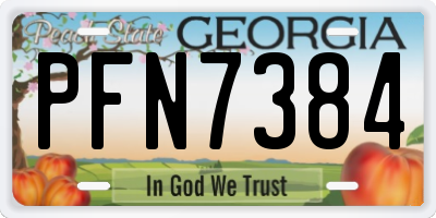 GA license plate PFN7384