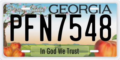 GA license plate PFN7548