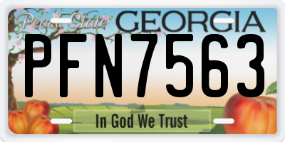 GA license plate PFN7563