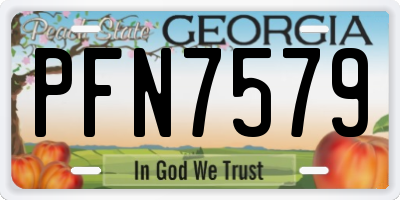 GA license plate PFN7579