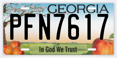 GA license plate PFN7617