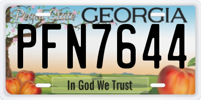 GA license plate PFN7644