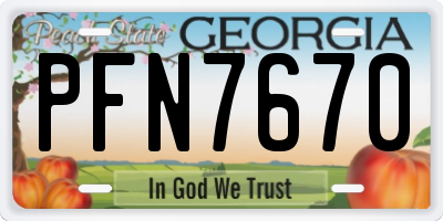 GA license plate PFN7670