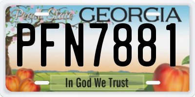 GA license plate PFN7881