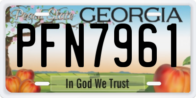 GA license plate PFN7961