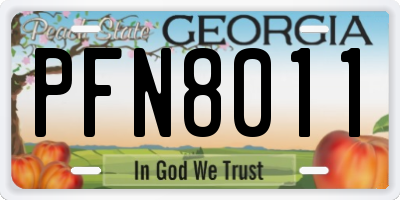 GA license plate PFN8011