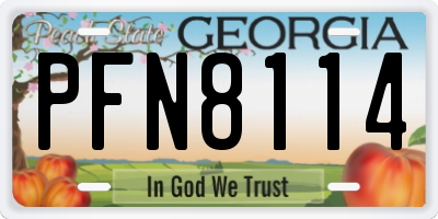 GA license plate PFN8114