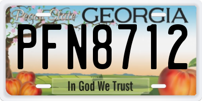 GA license plate PFN8712