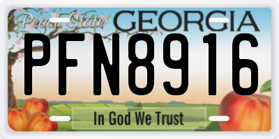 GA license plate PFN8916