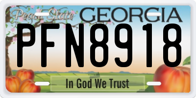 GA license plate PFN8918