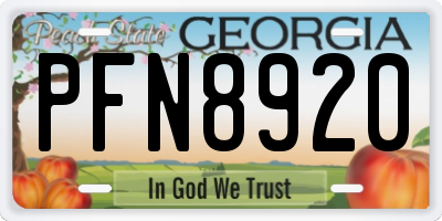 GA license plate PFN8920