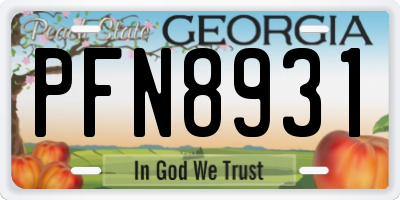 GA license plate PFN8931