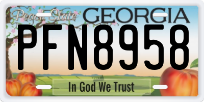 GA license plate PFN8958