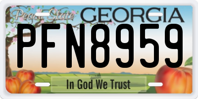 GA license plate PFN8959