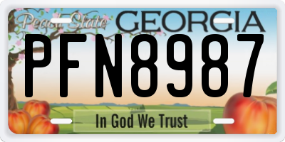 GA license plate PFN8987