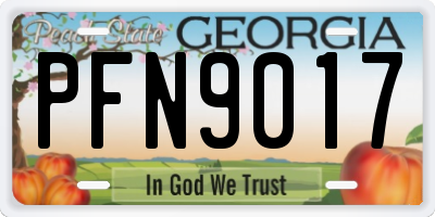 GA license plate PFN9017