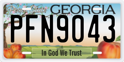 GA license plate PFN9043