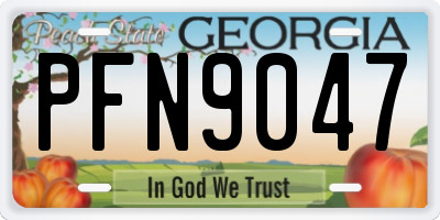 GA license plate PFN9047
